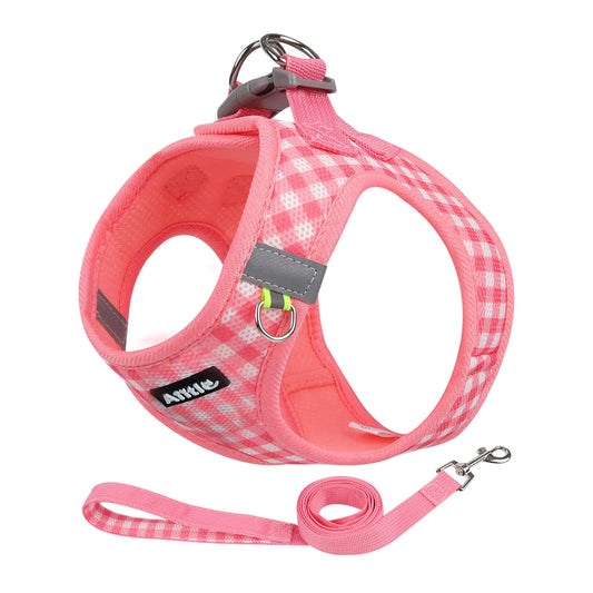 AIITLE No Pull Dog Harness and Leash Set Step in No Chock Soft Mesh Dog Harnesses Reflective for Extra-Small Puppy Dogs and Cats Plaid Dog Vest Harness for Pets Watermelon XXS